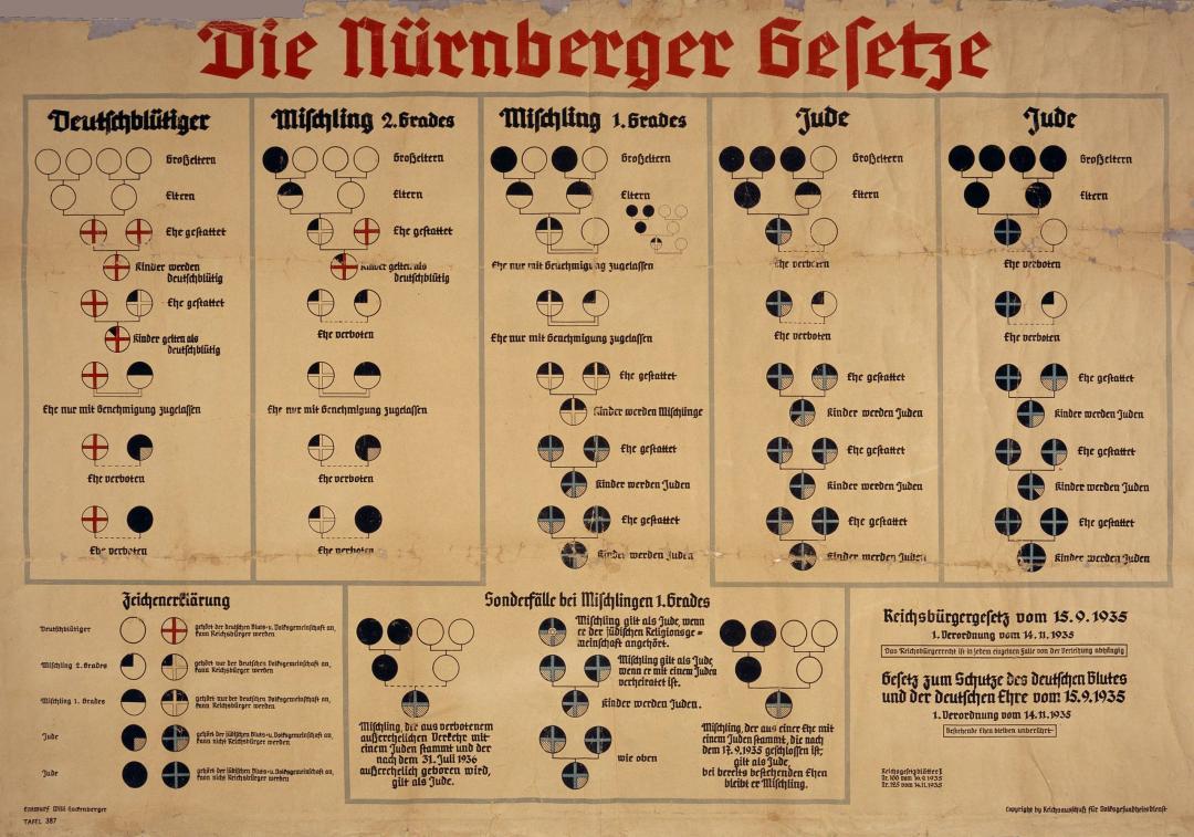 Grafic din 1935, care arată clasificările rasiale în conformitate cu legile rasiale de la Nürnberg